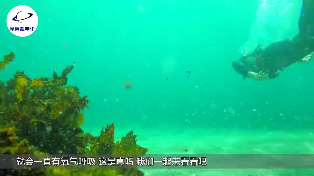 皇牌空战7
